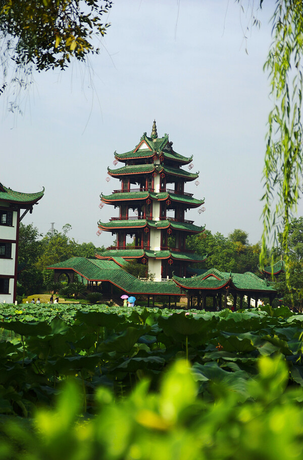 風景圖圖片