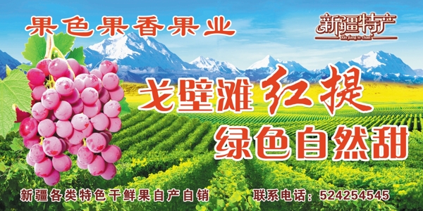 紅提廣告圖片