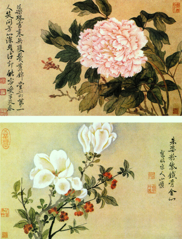 花卉册图片