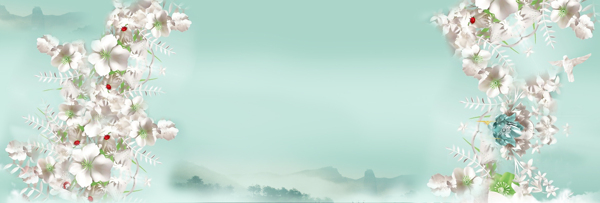 清新白色花朵banner背景素材
