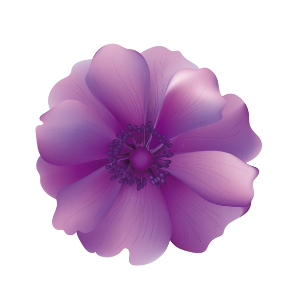 紫色的花朵矢量素材