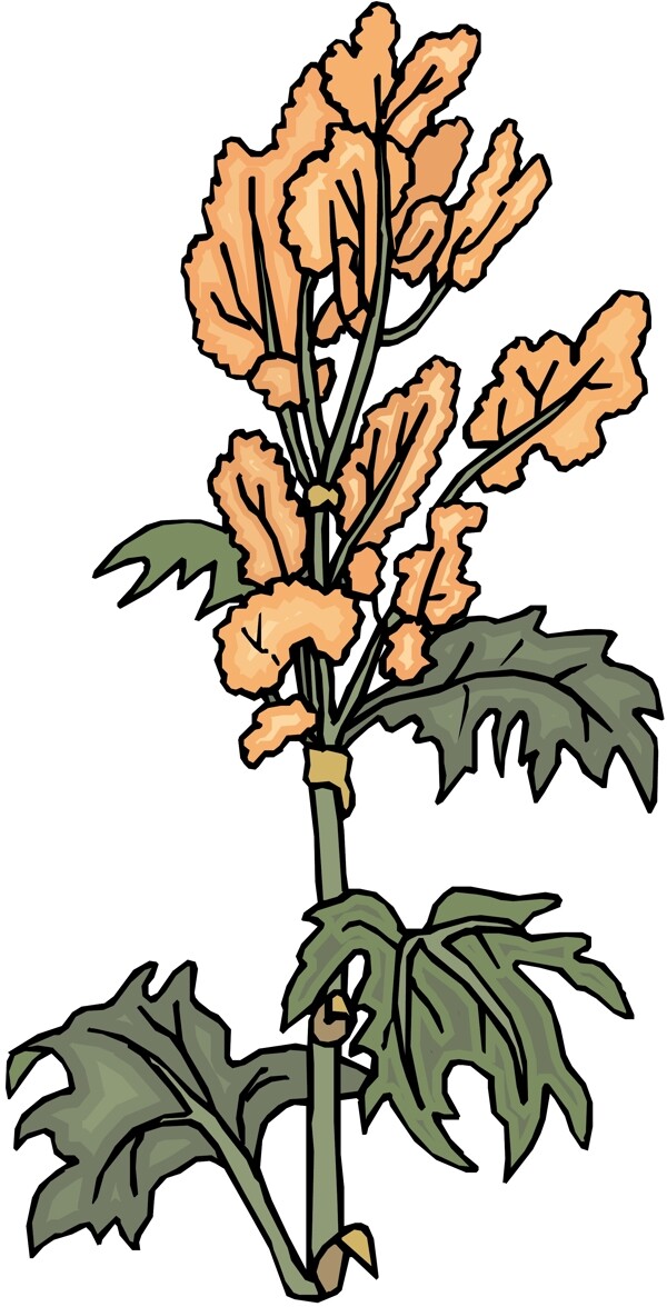 花朵花草鮮花矢量EPS格式0484