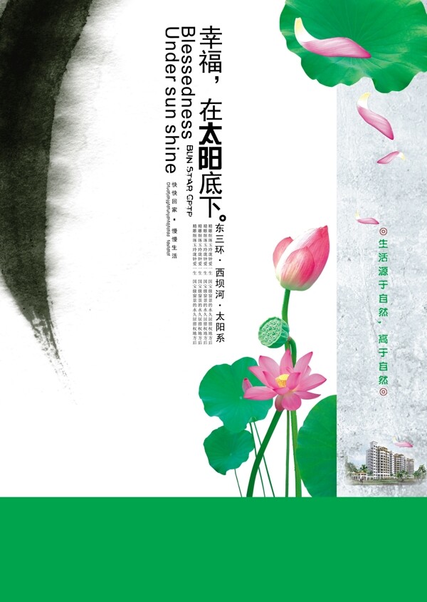 精品高精度荷花圖片