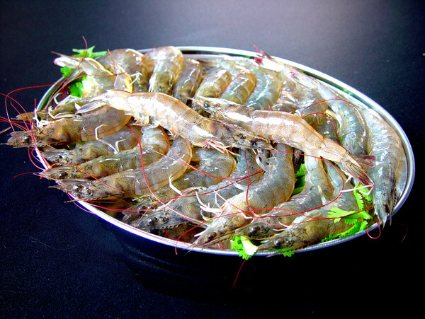 鮮蝦