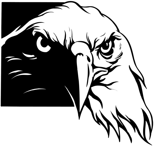 鳥類動物矢量素材eps格式0007