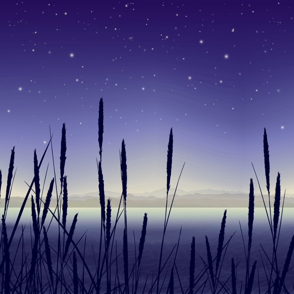 沼泽地夜间景观
