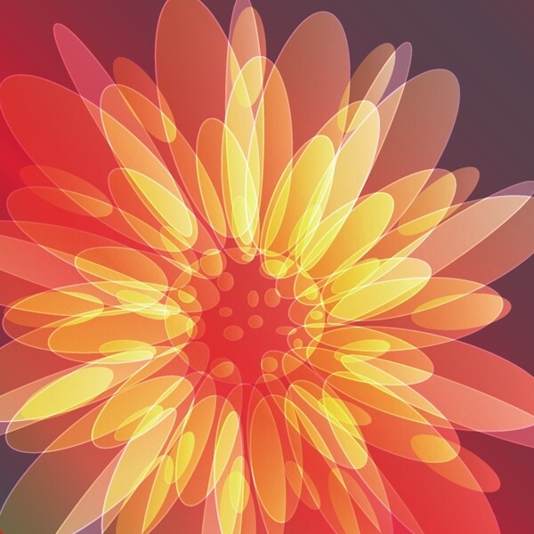 歐美花紋2008矢量EPS