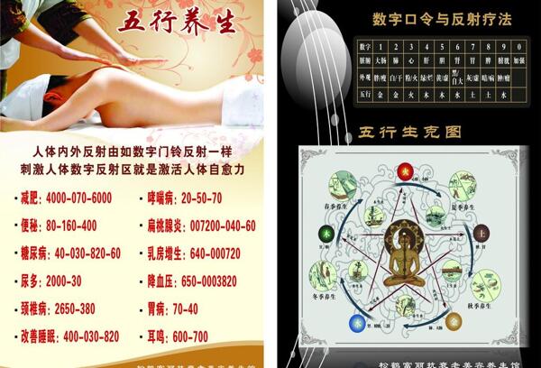 美容五行養(yǎng)生圖片