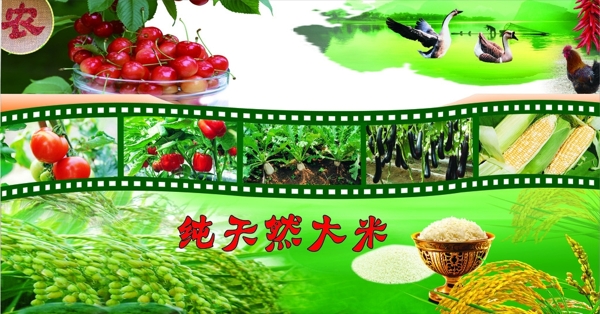生態(tài)農(nóng)莊海報圖片