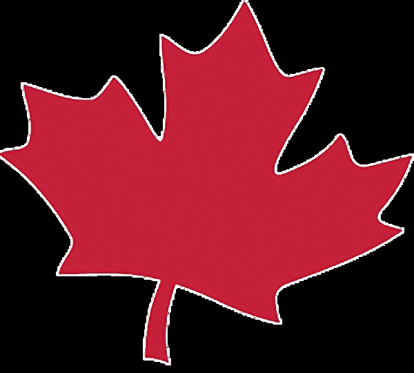 红色加拿大的枫叶免抠png透明图层素材