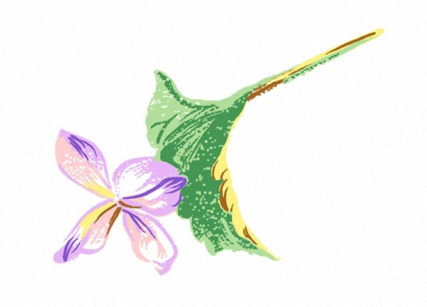 位圖成熟優(yōu)雅女裝植物毛衫印花優(yōu)雅植物免費(fèi)素材