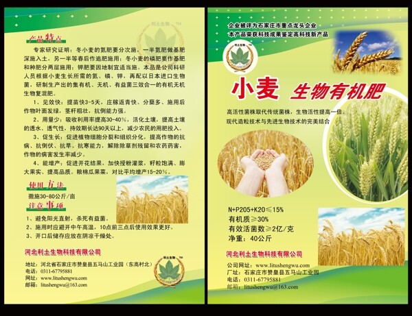 小麦宣传单图片