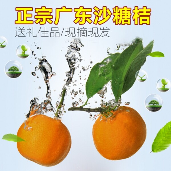 沙糖桔淘寶主圖直通車圖高清psd下載