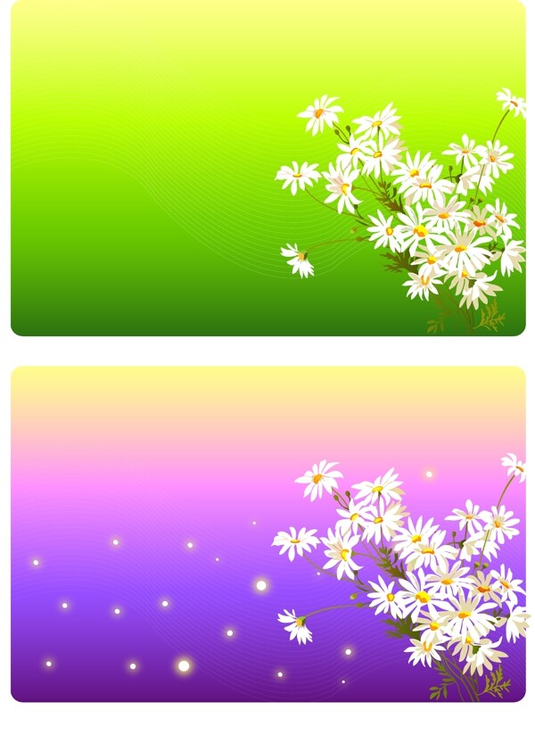 2008最新潮流花紋矢量圖131