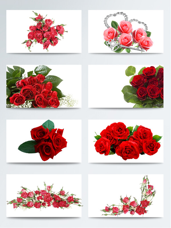 情人节红玫瑰鲜花元素