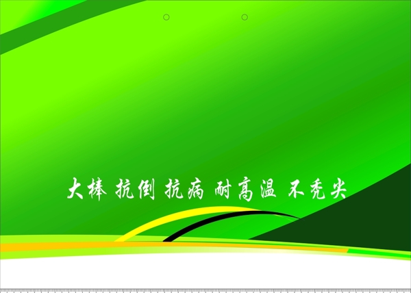 掛牌