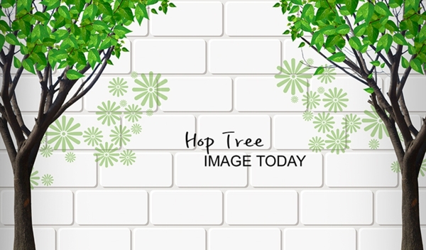 大树砖墙背景墙