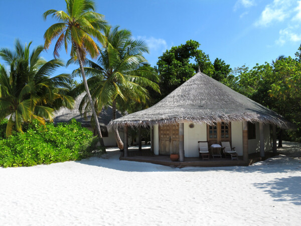 沙滩上的椰树茅屋