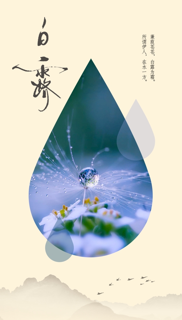 白露節(jié)氣海報(bào)