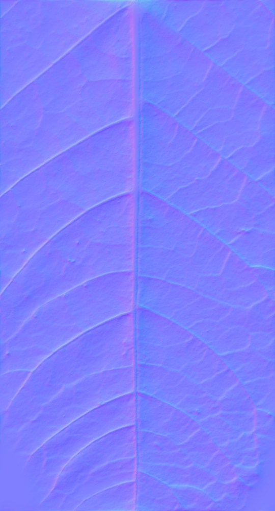 新創(chuàng)意客廳