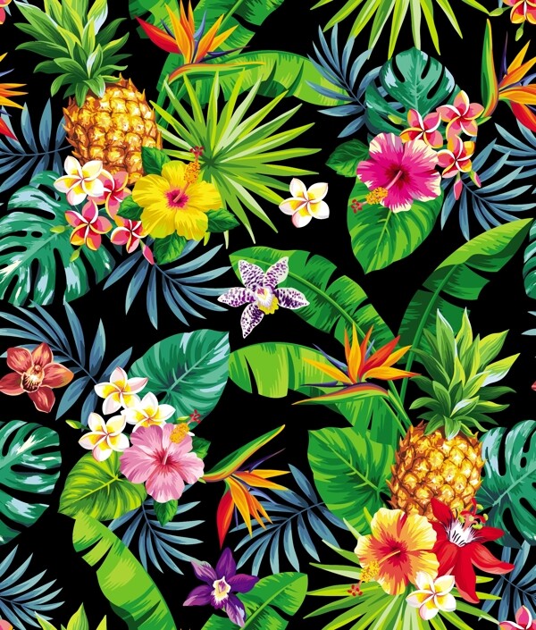 菠萝热带植物图片