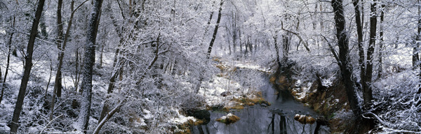 雪景