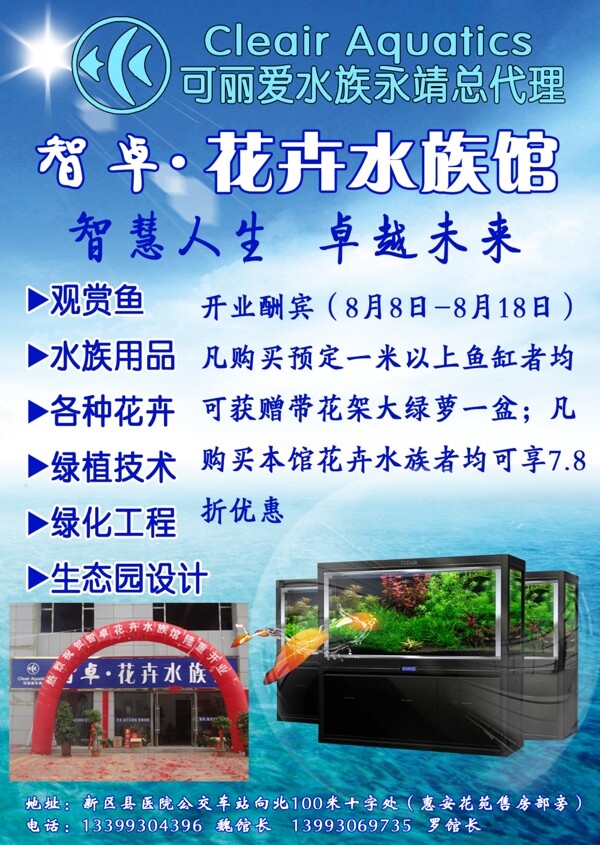 智卓水族DM