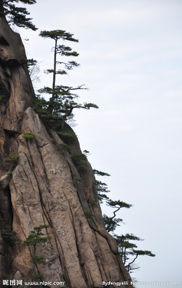 黃山圖片