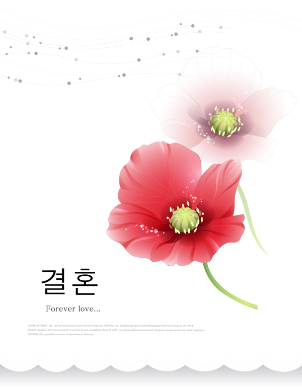花朵圖片