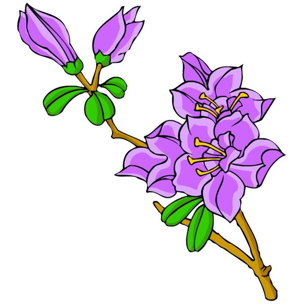 花卉古典插畫
