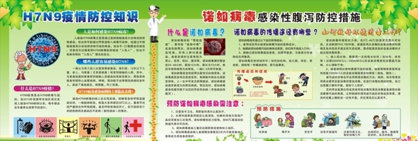 H7N9禽流感防控诺如病毒性
