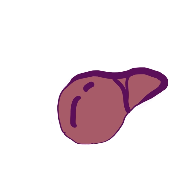 红色手绘肝脏人体器官图标