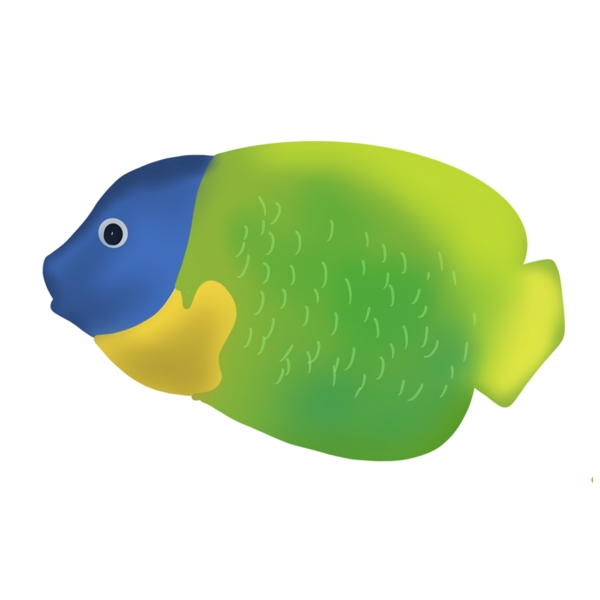 海底动物绿色小鱼