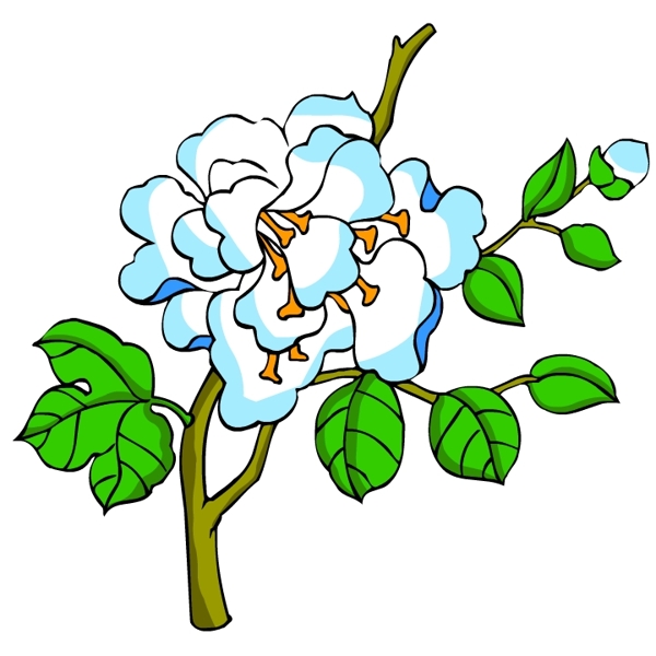 花卉古典插畫(huà)