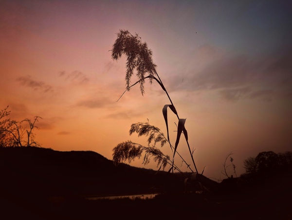 夕陽