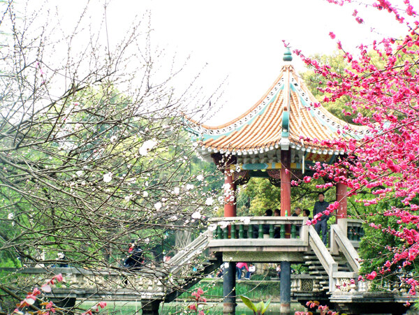 桃花古亭圖片