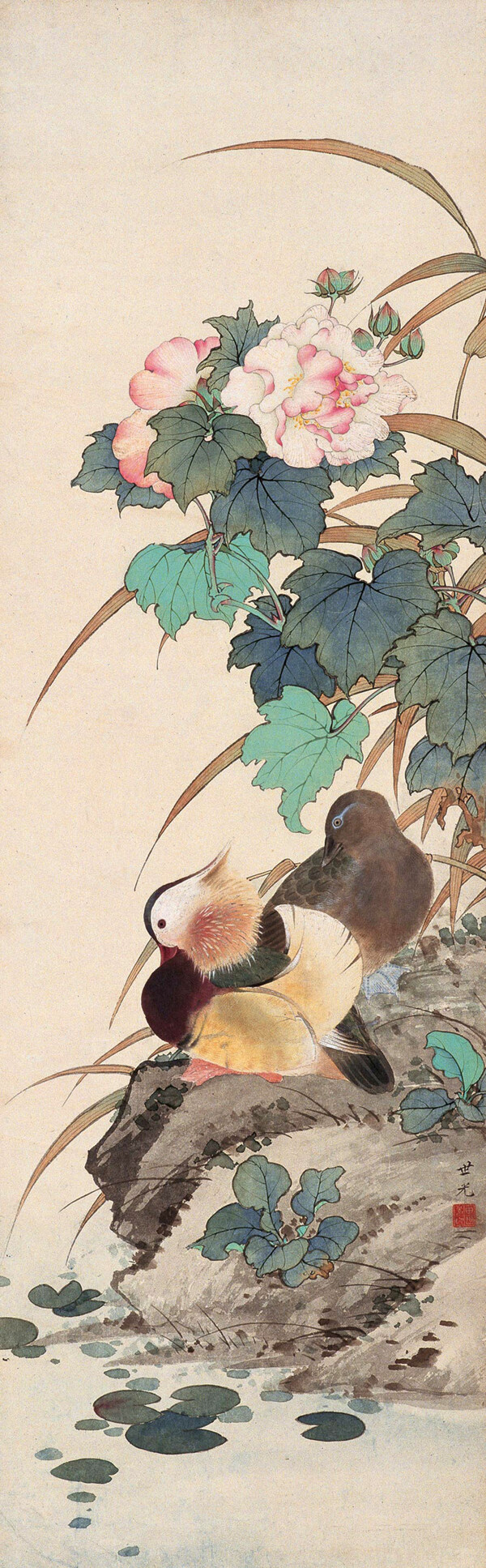 花卉鴛鴦圖片
