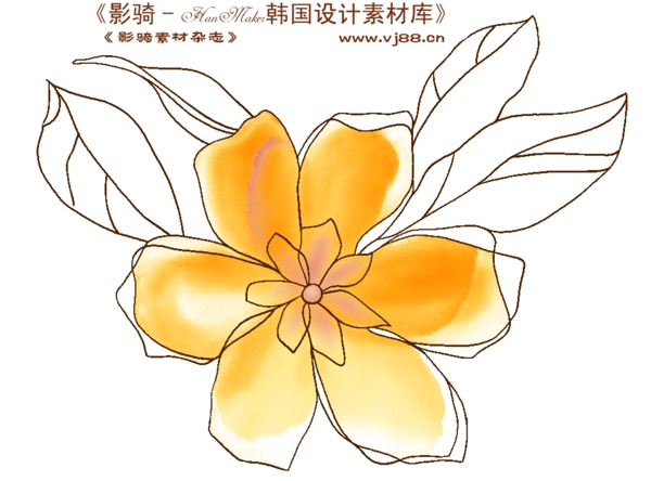花紋花朵裝飾修飾HanMaker韓國設計素材庫