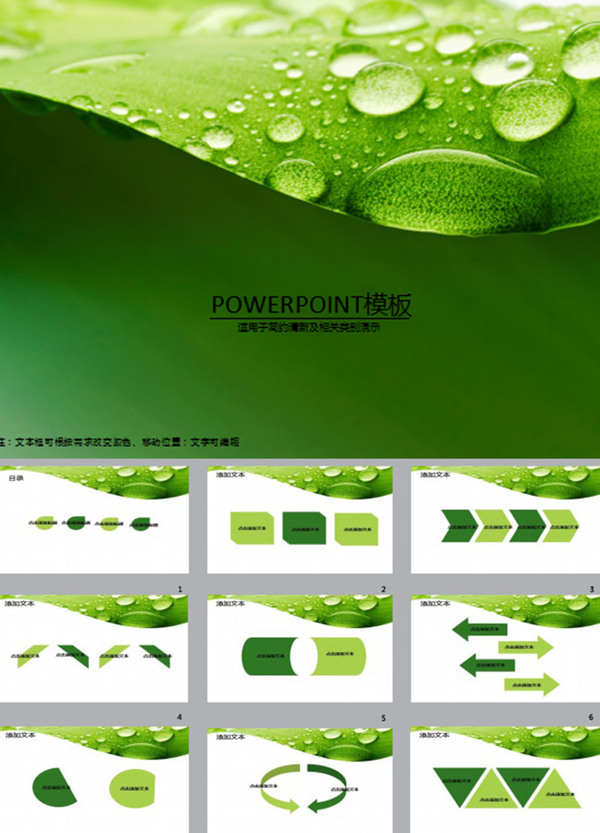 自然绿色清新露水PPT模板免费下载