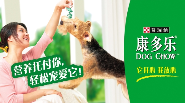 龙腾广告平面广告PSD分层素材源文件海报女性宠物狗狗食
