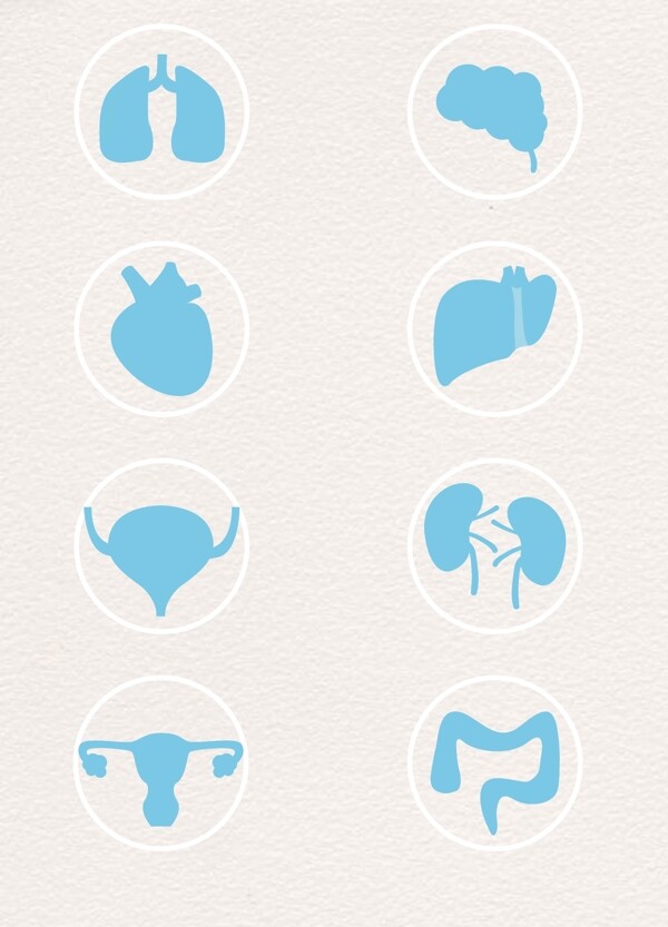 6款蓝色简洁人体器官图标素材