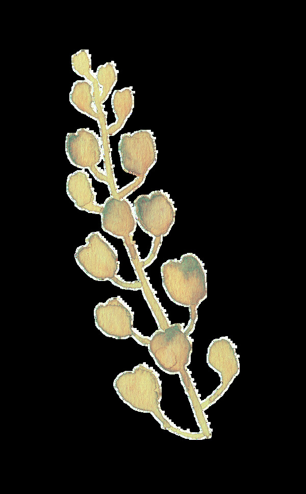 水粉花葉透明裝飾素材