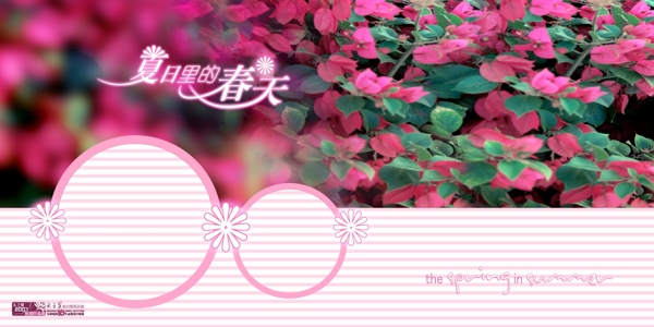 夏日里的春天