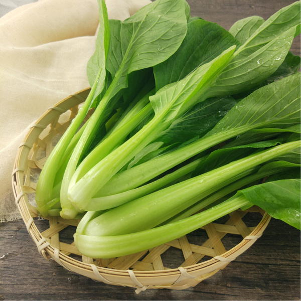 青江菜