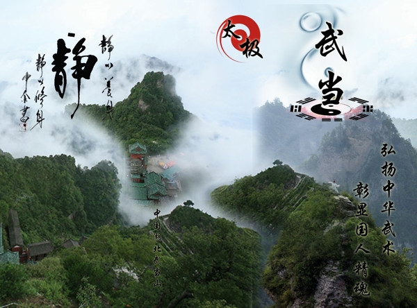 宣傳畫(huà)冊(cè)三折頁(yè)P(yáng)SD