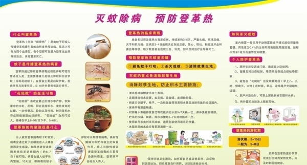 預(yù)防登革熱圖片