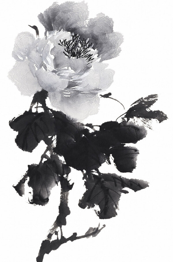 位圖時(shí)尚休閑女裝成熟優(yōu)雅女裝植物花卉免費(fèi)素材