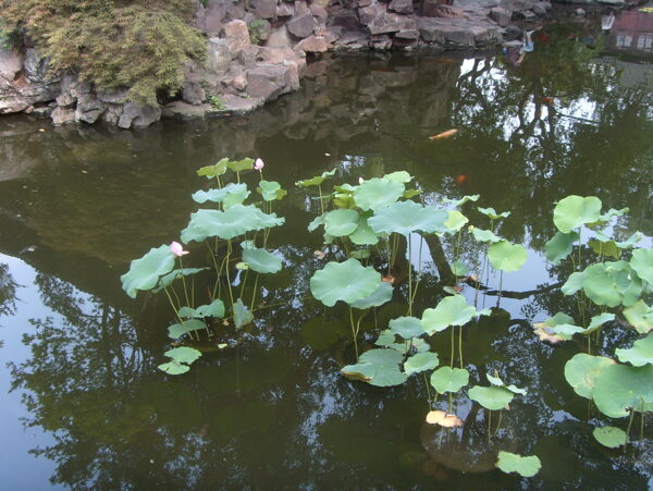 豫園