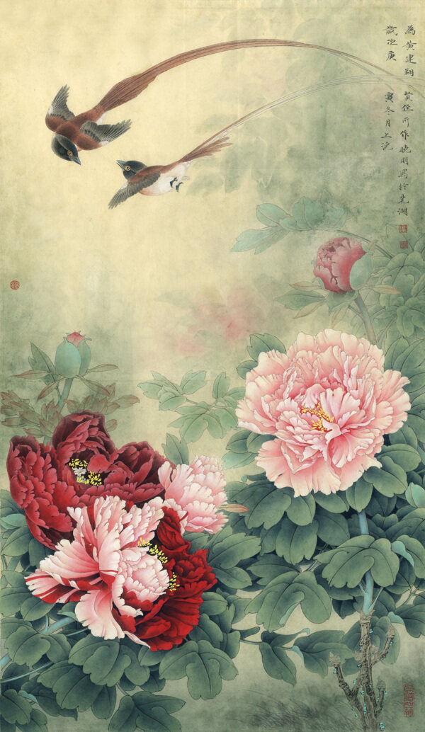 牡丹
