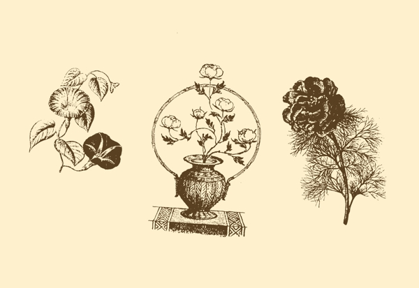 植物裝飾畫圖片